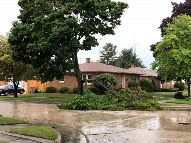 Storm damage
